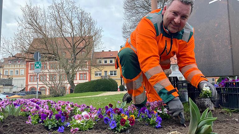 Kitzingen blüht auf: Die neuen Frühjahrsblumen haben die Stadtgärtner schon im März gesetzt - wie hier am Königsplatz.