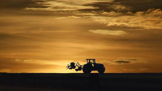 Bauer       -  Traumjob: Der Beruf des Bauern ist unter jungen Leuten attraktiver geworden, auch wenn sie nicht aus der Landwirtschaft stammen.