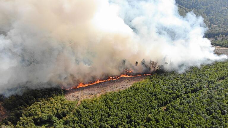 Waldbrand im Sauerland - Der weltweite Verlust durch Waldbrände lag mit 11,9 Millionen Hektar 2023 ebenfalls auf Rekordniveau. (Archivbild) Waldbrand im Sauerland - Der weltweite Verlust durch Waldbrände lag mit 11,9 Millionen Hektar 2023 ebenfalls auf Rekordniveau. (Archivbild)