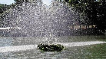 Alljährliches Schauspiel beim großes Seefest in Frickenhausen: die
Wasserfontäne mitten im See.
-
Alljährliches Schauspiel beim großes Seefest in Frickenhausen: die
Wasserfontäne mitten im See. Alljährliches Schauspiel beim großes Seefest in Frickenhausen: die
Wasserfontäne mitten im See.
-
Alljährliches Schauspiel beim großes Seefest in Frickenhausen: die
Wasserfontäne mitten im See.
