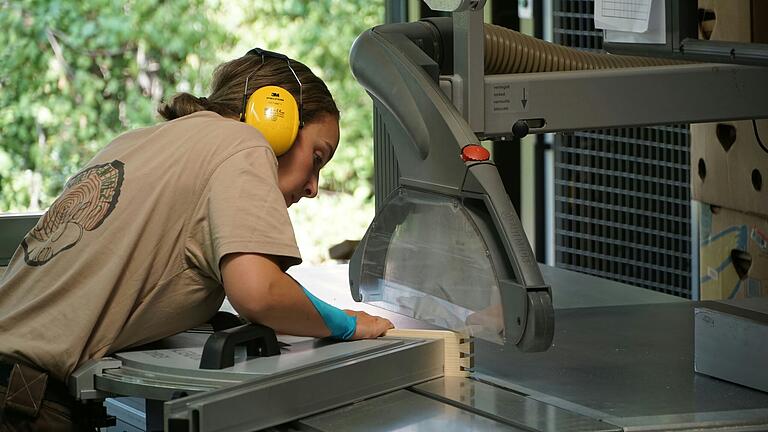 Eine junge Schreinergesellin arbeitet im Sommer 2023 in der Kitzinger Berufsschule an ihrer Arbeitsprobe. Eine junge Schreinergesellin arbeitet im Sommer 2023 in der Kitzinger Berufsschule an ihrer Arbeitsprobe.