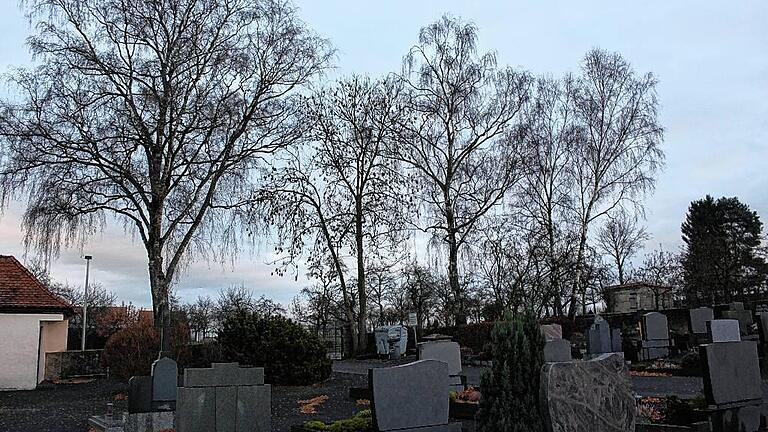 Die großen Birken im Duttenbrunner Friedhof sollen weg. Dafür stimmten die Besucher der Bürgerversammlung. Gründe sind Schäden an der Mauer und viel Laub auf den Gräbern.