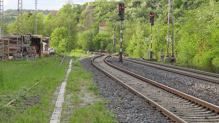 Die Gleise der Werntalbahn kurz nach dem (ehemaligen) Eußenheimer Bahnhof: Der Kreistag stimmte dem Antrag der SPD-Fraktion im Mai zur Wiederaufnahme des Personenverkehrs mit großer Mehrheit zu.