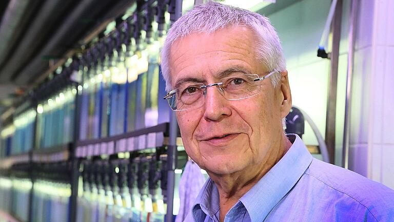 Zwei Amazonenkärpflinge im Aquarium. Biochemiker Manfred Schartl fand heraus, warum die Fischart seit 100 000 Jahren überlebt, obwohl sie sich ausschließlich selbst klont.Fotos: Manfred Schartl, Th. müller