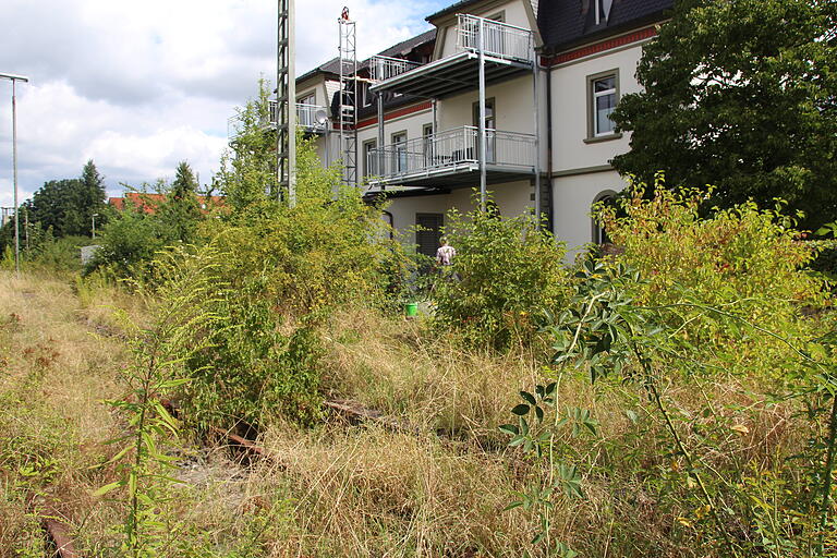 Noch sieht der Gerolzhöfer Bahnhof eher wie ein Biotop aus. Aber vielleicht fahren hier in einigen Jahren die Triebwagen der Erfurter Bahn? Noch sieht der Gerolzhöfer Bahnhof eher wie ein Biotop aus. Aber vielleicht fahren hier in einigen Jahren die Triebwagen der Erfurter Bahn?