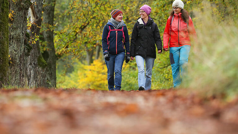 Der Herbst lässt sich am Wochenende bei einer Wander- oder Fahrradtour genießen.