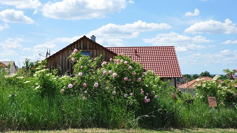 Auch der Garten von Ursula Posorski in Wiesenbronn ist Teil der NaturGartenTour und kann besichtigt werden.