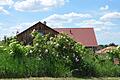 Auch der Garten von Ursula Posorski in Wiesenbronn ist Teil der NaturGartenTour und kann besichtigt werden.