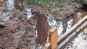 So sieht eine Holzspundwand/ aus. Sie soll das Wasser zurückhalten.       -  So sieht eine Holzspundwand/ aus. Sie soll das Wasser zurückhalten.