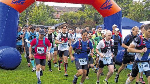 Und los! Rund 260 Läufer machten sich Samstagfrüh in Veitshöchheim auf den Weg.