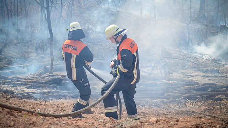 Die Feuerwehrleute waren im Sommer im Dauereinsatz. Das Bild zeigt einen Waldbrand bei Bischbrunn.