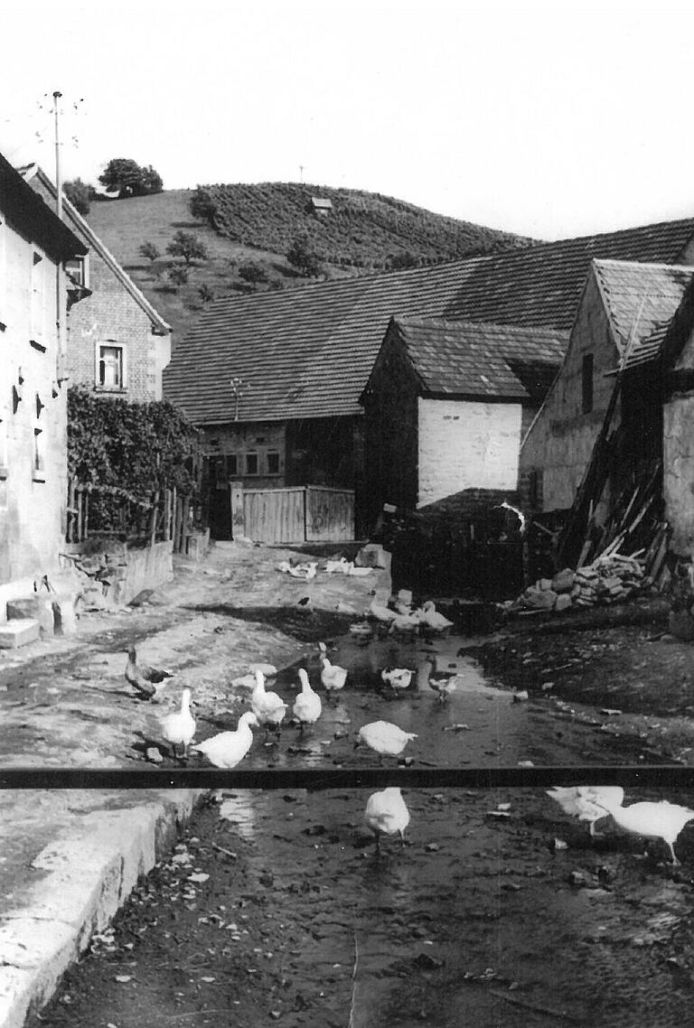 Um 1960 herum verschwand der Bach in Michelau unter Beton. Irmgard Roth: „Heute wären wir froh, wenn wir den Bach damals nicht zubetoniert hätten.“ Im Hintergrund ist der Eulenberg zu sehen. Um 1960 herum verschwand der Bach in Michelau unter Beton. Irmgard Roth: „Heute wären wir froh, wenn wir den Bach damals nicht zubetoniert hätten.“ Im Hintergrund ist der Eulenberg zu sehen.