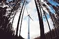 Um fünf Windräder im Wald südwestlich von Himmelstadt ging es im Gemeinderat. Das Gremium hat den Bau der Anlagen abgelehnt - einen Windpark in diesem Gebiet wird es dennoch geben.&nbsp;
