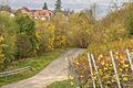 Hier zeigt sich Repperndorf von seiner schönsten Seite. Im Ortskern sieht es nach Meinung von Stadtrat Timo Markert anders aus.