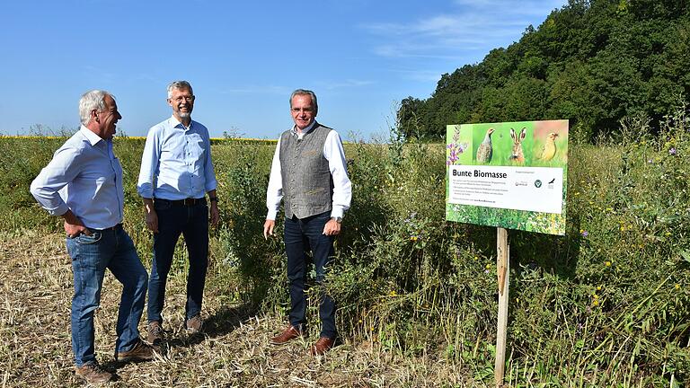 Bei der Besichtigung des Projektes „Bunte Biomasse – Ressource für Artenschutz und Landwirtschaft“ (von links): Werner Kuhn vom Netzwerk Lebensraum Feldflur, Rimpars Bürgermeister Bernhard Weidner und Paul Lehrieder. Bei der Besichtigung des Projektes „Bunte Biomasse – Ressource für Artenschutz und Landwirtschaft“ (von links): Werner Kuhn vom Netzwerk Lebensraum Feldflur, Rimpars Bürgermeister Bernhard Weidner und Paul Lehrieder.