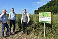 Bei der Besichtigung&nbsp;des Projektes „Bunte Biomasse – Ressource für Artenschutz und Landwirtschaft“ (von links): Werner Kuhn vom Netzwerk Lebensraum Feldflur, Rimpars Bürgermeister Bernhard Weidner und Paul Lehrieder.