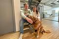 Michael Weisenseel, Drivecon-Geschäftsführer, und Lara Kapp, zuständig für das Marketing, mit dem Kuschel-Beauftragten Max. Auch der Golden Retriever trägt zu einem positiven Betriebsklima bei.&nbsp;
