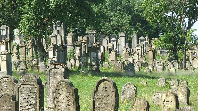 Fundgrube bei der Spurensuche: Der israelitische Friedhof bei Gerolzhofen. Hierher sind in den vergangenen beiden Monaten drei Amerikaner und ein Israeli gekommen, um nach Familienwurzeln zu suchen. Fundgrube bei der Spurensuche: Der israelitische Friedhof bei Gerolzhofen. Hierher sind in den vergangenen beiden Monaten drei Amerikaner und ein Israeli gekommen, um nach Familienwurzeln zu suchen.