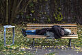 Obdachloser auf Parkbank.jpeg       -  Obdachlose haben keinen festen Wohnsitz. Können sie trotzdem Bürgergeld beziehen?