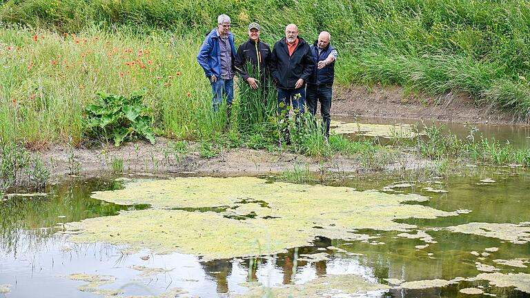 Michael Diestel vom Bauernverband, Aubstadts Bürgermeister Burkhard Wachenbrönner, Herbstadts Bürgermeister Georg Rath sowie Landwirt Egon Mauer im Sommer an einem Feucht-Biotop zur Denitrifizierung von Drainagewasser. Dieser innovative Ansatz wurde jetzt in München ausgezeichnet.