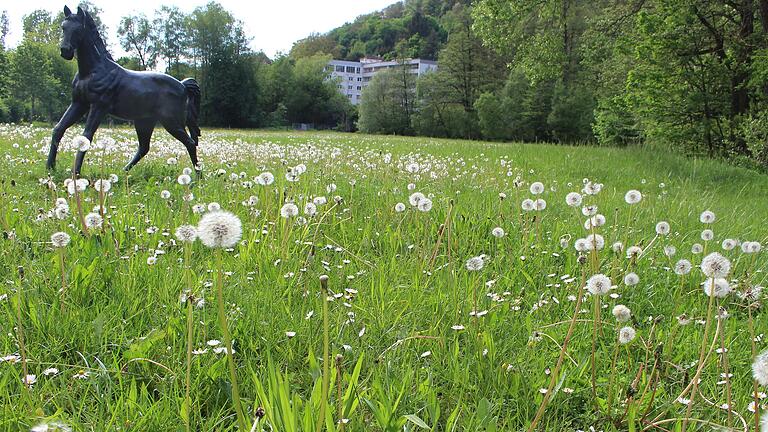 Bad Brückenau: Auf der Fläche zwischen Sinn, Bauhof und Backhaus soll ein Naturlehrgarten mit Wasserzugang entstehen. - Bad Brückenau: Auf der Fläche zwischen Sinn, Bauhof und Backhaus soll ein Naturlehrgarten mit Wasserzugang entstehen. Bad Brückenau: Auf der Fläche zwischen Sinn, Bauhof und Backhaus soll ein Naturlehrgarten mit Wasserzugang entstehen. - Bad Brückenau: Auf der Fläche zwischen Sinn, Bauhof und Backhaus soll ein Naturlehrgarten mit Wasserzugang entstehen.