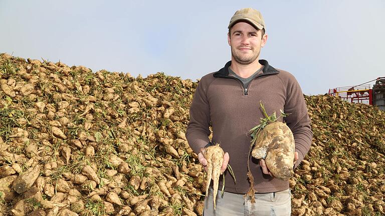 Lukas Seuferling aus Zeilitzheim ist zufrieden mit seiner Ausbeute. Der Bio-Landwirt war einer der ersten Rübenbauer, der in der Region geerntet hat. Lukas Seuferling aus Zeilitzheim ist zufrieden mit seiner Ausbeute. Der Bio-Landwirt war einer der ersten Rübenbauer, der in der Region geerntet hat.