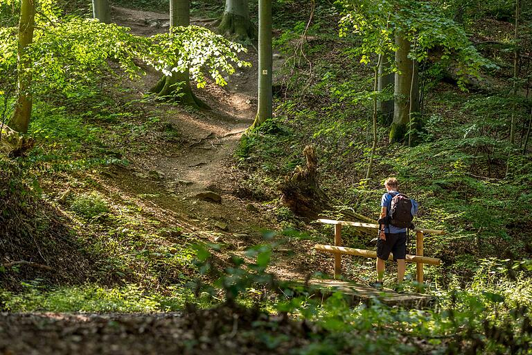 Unterwegs auf der 10,7 Kilometer langen Extratour Milseburg: Die Tour führt größtenteils über Naturwege durch die waldreiche Landschaft des Rhöntals. Unterwegs auf der 10,7 Kilometer langen Extratour Milseburg: Die Tour führt größtenteils über Naturwege durch die waldreiche Landschaft des Rhöntals.
