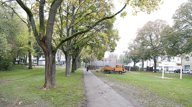 Die Variante Spitalseeplatz für den Neubau des Friederike-Schäfer-Heimes ist bereits ausgeschlossen, weil dort mittlerweile die im Hintergrund zu sehende Kindertagesstätte gebaut wurde.