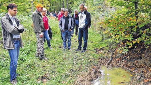 Gute Einblicke in die Waldbewirtschaftung erhielt der Stadtrat Haßfurt bei der Besichtigung des Stadtwaldes &bdquo;Eichenbühl&ldquo; bei Buch vor allem durch Forstdirektor Hans Stark (zweiter von links) vom Universitätsforstamt Sailershausen.