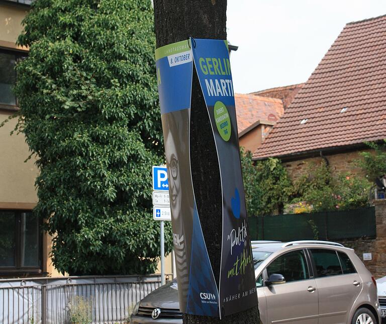 Wahlplakate an Bäumen müssen so befestigt werden, dass der Baum nicht leidet. Ein Gärtner kontrolliert dies.