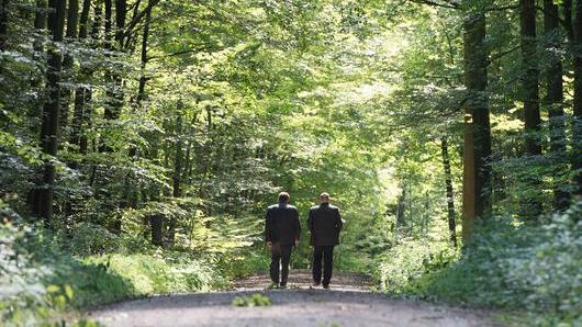 Spatenstich für Baumwipfelpfad Steigerwald       -  Die vom Verein &bdquo;Unser Steigerwald&ldquo; und den 40 Bürgermeistern aus dem &bdquo;Netzwerk Steigerwald&ldquo; ausgearbeitete Resolution zum Projekt &bdquo;Nachhaltigkeitsregion Steigerwald &ndash; der bessere Weg für unsere Heimat&ldquo; unterstützt der Gemeinderat Oberaurach mehrheitlich. Dadurch soll Friede in die Region gebracht werden, um gemeinsam an einer stetigen Weiterentwicklung zu arbeiten.