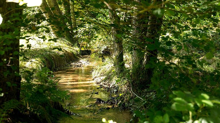 In einem Biosphärenreservat steht das Zusammenspiel von Mensch und Natur im Fokus. Anders ist das in einem Nationalpark. Unser Bild zeigt den Fechenbach im Landkreis Miltenberg.