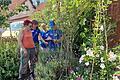 Die Bewertung für Monika Horchers Gartenparadies fällt positiv aus. Sie kann sich über die Plakette 'Vogelfreundlicher Garten' des LBV freuen.       -  Die Bewertung für Monika Horchers Gartenparadies fällt positiv aus. Sie kann sich über die Plakette 'Vogelfreundlicher Garten' des LBV freuen.