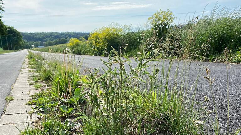 Im Wiesentalgraben in Mellrichstadt wuchert der Wildwuchs. Das Unkraut am Straßenrand an der Zufahrt zum Hainberg-Areal soll künftig vom Bauhof mit einer Kehrmaschine entfernt werden.