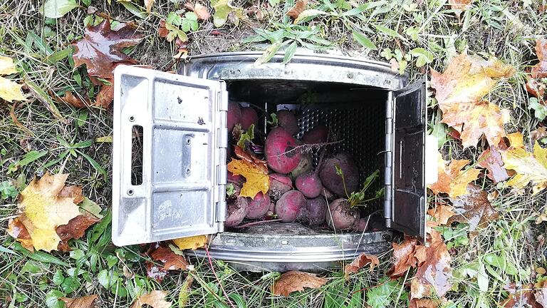Als Erdmiete für Gemüse kann eine ausrangierte Waschmaschinentrommel dienen. Als Erdmiete für Gemüse kann eine ausrangierte Waschmaschinentrommel dienen.