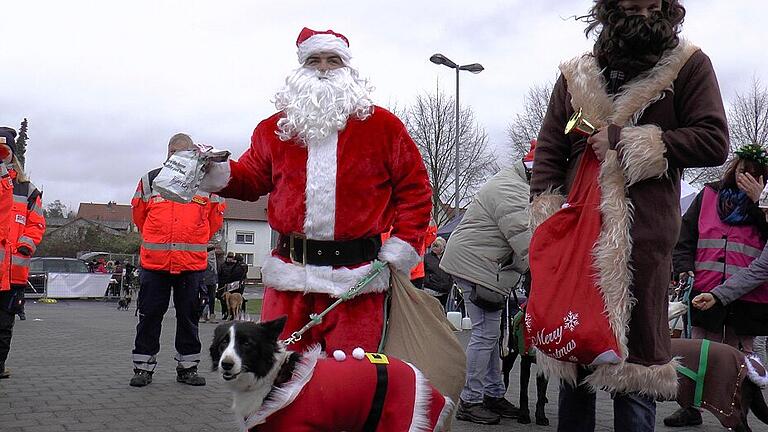 Ein Höhepunkt beim Hundeweihnachtsmarkt in Haßfurt ist der Besuch von &bdquo;Santa Bello&ldquo; mit seinem Herrchen, dem Weihnachtsmann.