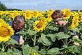 Landwirt Eberhard Räder (links) mit seinem Sohn Veit im Juli 2019 auf einem Sonnenblumenfeld neben seinem ökologischen Betrieb in Bastheim im Landkreis Rhön-Grabfeld.