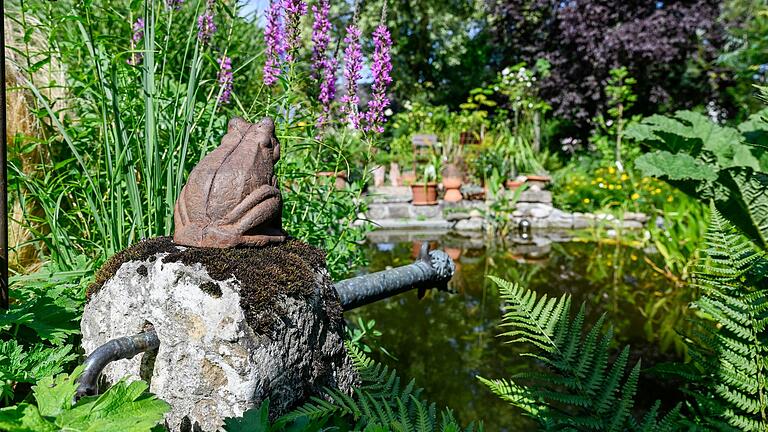 An allen Ecken gibt es in dem ungewöhnlichen Garten etwas zu entdecken. An allen Ecken gibt es in dem ungewöhnlichen Garten etwas zu entdecken.