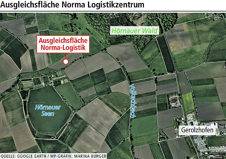 Um eine ökologische Ausgleichsfläche für Norma anzulegen: Weizenfeld wurde umgebrochen Um eine ökologische Ausgleichsfläche für Norma anzulegen: Weizenfeld wurde umgebrochen