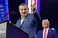AmericaFest 2024       -  Cruz gehört eigentlich nicht zum Trump-kritischen Lager in der Partei. (Archivbild)