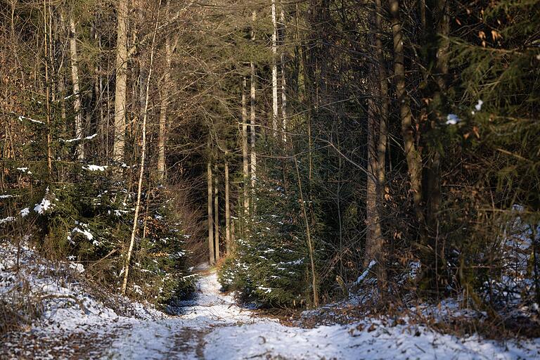 Im Winter kann schon mal ein bisschen Schnee liegen auf dieser Spessart-Tour. Im Winter kann schon mal ein bisschen Schnee liegen auf dieser Spessart-Tour.
