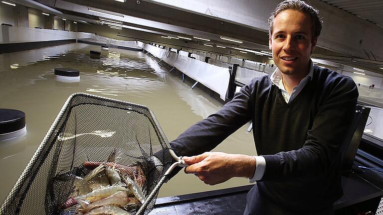 Garnelenfarm in Bayern       -  Fabian Riedel ist Geschäftsführer der Garnelenfarm in Langenpreising.
