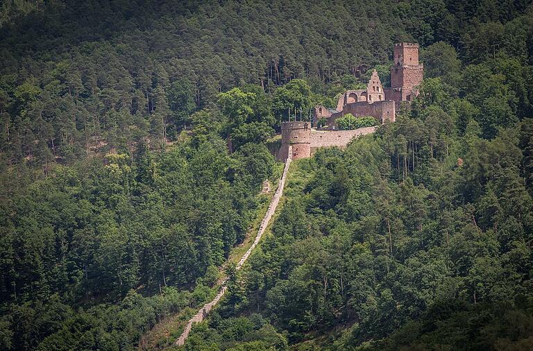 In diesem Jahr wird vor der imposanten Ruine der Freudenburg das klassische Stück 'Der Glöckner von Notre-Dame' aufgeführt. In diesem Jahr wird vor der imposanten Ruine der Freudenburg das klassische Stück 'Der Glöckner von Notre-Dame' aufgeführt. 