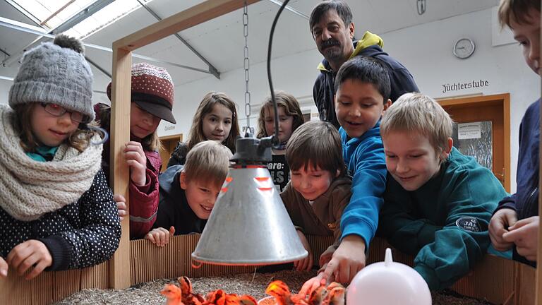 Am Wochenende veranstaltet der GZV Ibind und Umgebung wieder seine beliebte Kükenschau in seiner Ausstellungshalle in Hofheim. Am Wochenende veranstaltet der GZV Ibind und Umgebung wieder seine beliebte Kükenschau in seiner Ausstellungshalle in Hofheim.