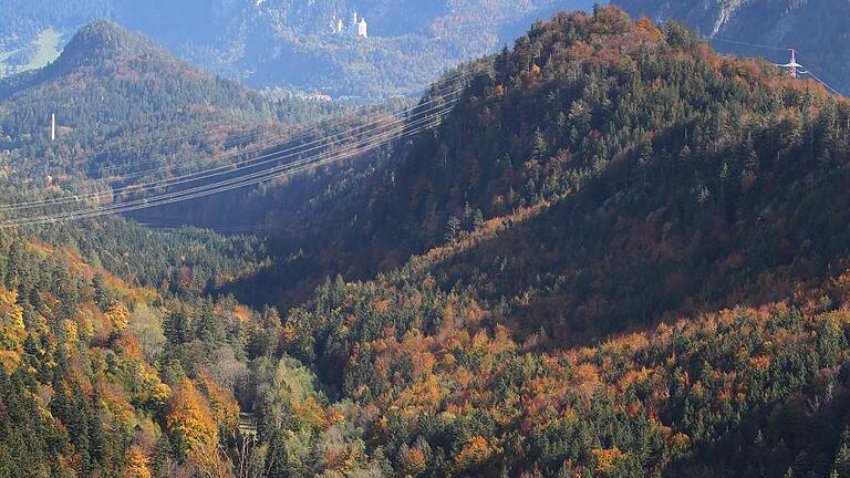 Alatsee in herbstlicher Umgebung       -  Geheimnisumwittert: der Alatsee