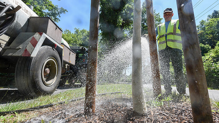 Ein Mitarbeiter des Gartenamts gießt neugepflanzte Bäume. Foto: Thomas Obermeier Ein Mitarbeiter des Gartenamts gießt neugepflanzte Bäume. Foto: Thomas Obermeier