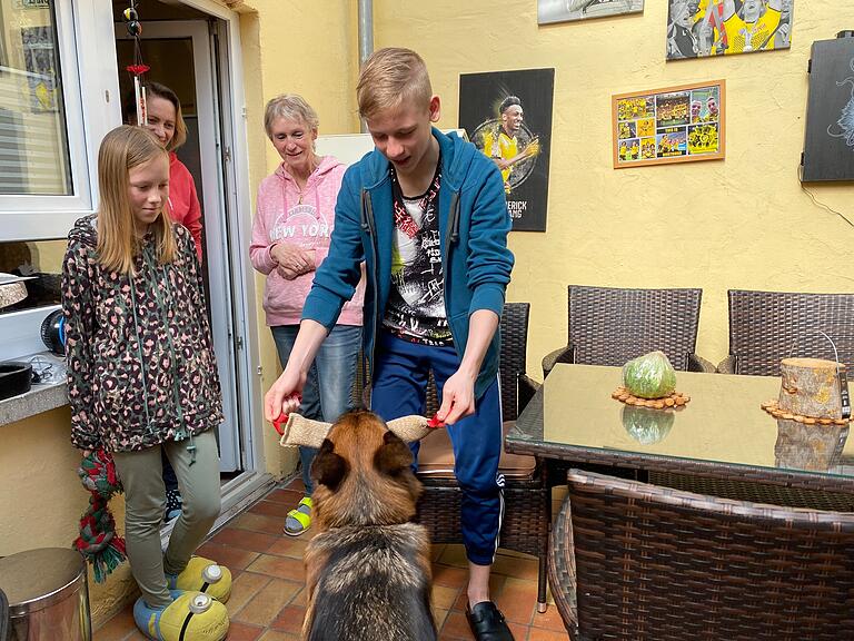 Schäferhündin Fella hat dazu beigetragen, dass das Eis zwischen der deutschen und der ukrainischen Familie gebrochen ist. An diesem Wochenende darf Sascha auf dem Trainingsplatz einen eigenen Hund trainieren. Schäferhündin Fella hat dazu beigetragen, dass das Eis zwischen der deutschen und der ukrainischen Familie gebrochen ist. An diesem Wochenende darf Sascha auf dem Trainingsplatz einen eigenen Hund trainieren.