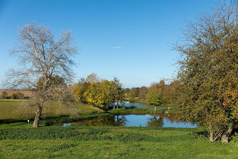 Während der Tour hat man immer wieder einen schönen Ausblick auf Weiher oder kleine Seenlandschaften: unterwegs auf der Rundtour 'Bachgeflüster' bei Frankenwinheim. Während der Tour hat man immer wieder einen schönen Ausblick auf Weiher oder kleine Seenlandschaften: unterwegs auf der Rundtour 'Bachgeflüster' bei Frankenwinheim.