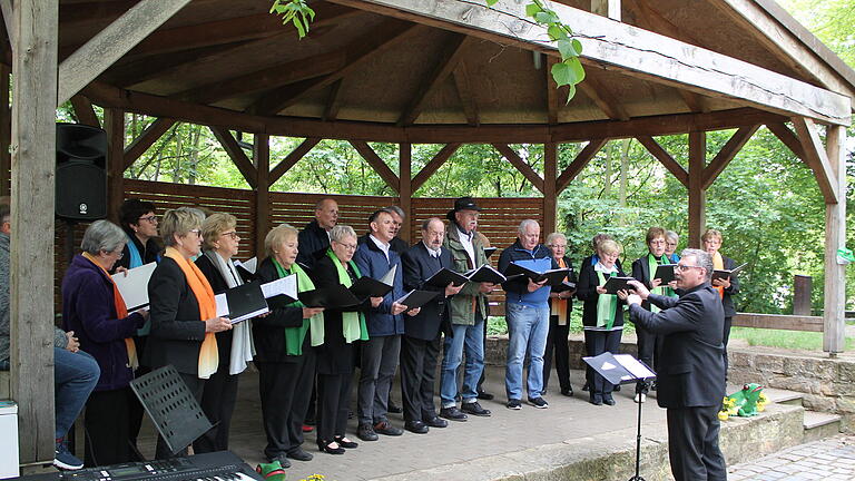 Froschkonzert im Spitalgarten