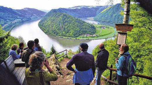 Schöne Aussichten: Blick auf die Donauschlinge bei Schlögen. Schöne Aussichten: Blick auf die Donauschlinge bei Schlögen.